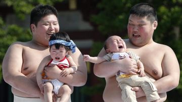Naki Sumo, el festival de los bebés llorones
