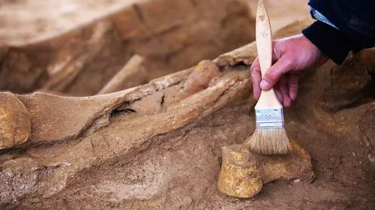 Un arqueólogo trabajando Un arqueólogo trabajando