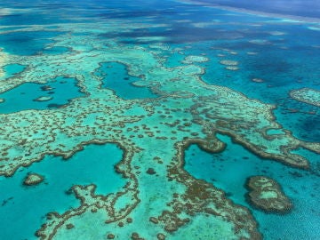 Fotografía facilitada por la Autoridad del Parque Marino de la Gran Barrera de Coral Fotografía facilitada por la Autoridad del Parque Marino de la Gran Barrera de Coral