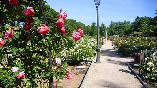 Parque del Oeste Parque del Oeste