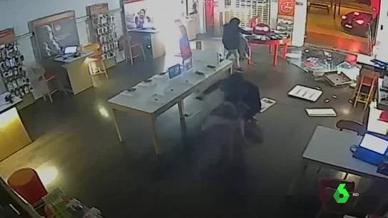 aluniceros aluniceros