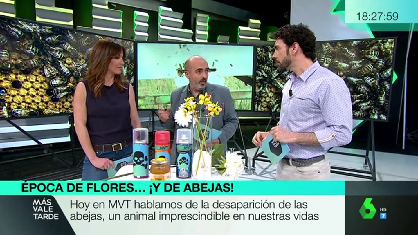abeja abeja