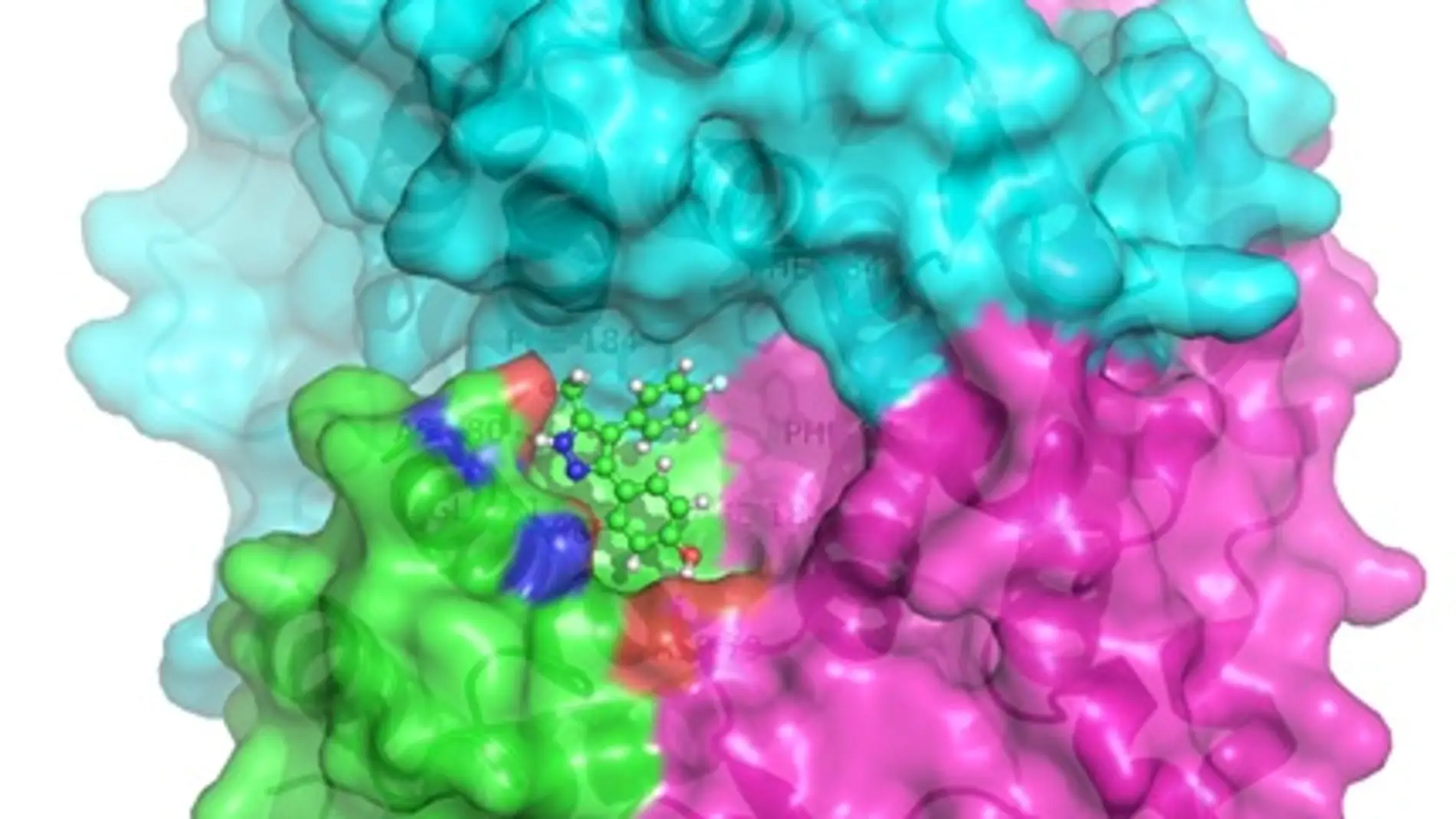 Simulación en tres dimensiones de la combinación de dos proteínas, una de las cuales hace de fármaco personalizado.