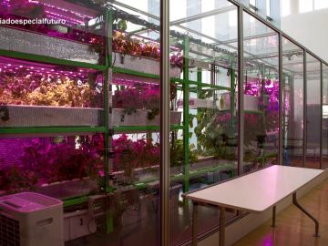 La agricultura del futuro, en Enviado especial La agricultura del futuro, en Enviado especial
