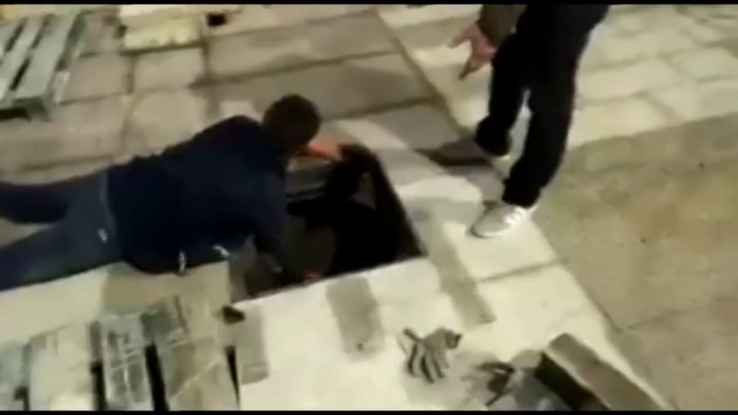 Objetivo: salvar a 'Capi', el v&iacute;deo viral de una ca&iacute;da en Gij&oacute;n de la que habla todo el mundo