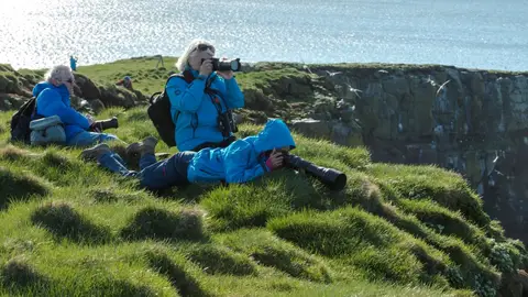Fugletitting. Grimsey Elfos, sagas y volcanes de Islandia