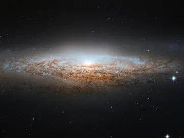 La fuerza de la gravedad ejercida por la materia visible no es suficiente para explicar el comportamiento de las galaxias La fuerza de la gravedad ejercida por la materia visible no es suficiente para explicar el comportamiento de las galaxias
