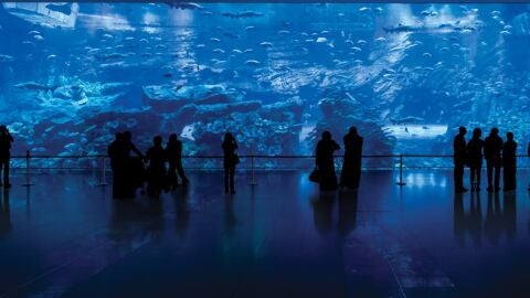 Acuario Dubai