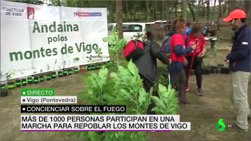 Más de 1.000 personas participan en una marcha para pedir repoblar los bosques de Vigo