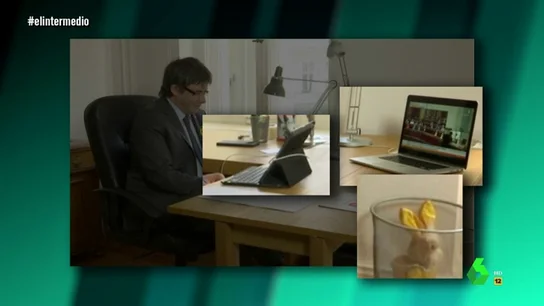 Un conejo amarillo en la basura: el mensaje oculto de Carles Puigdemont Un conejo amarillo en la basura: el mensaje oculto de Carles Puigdemont