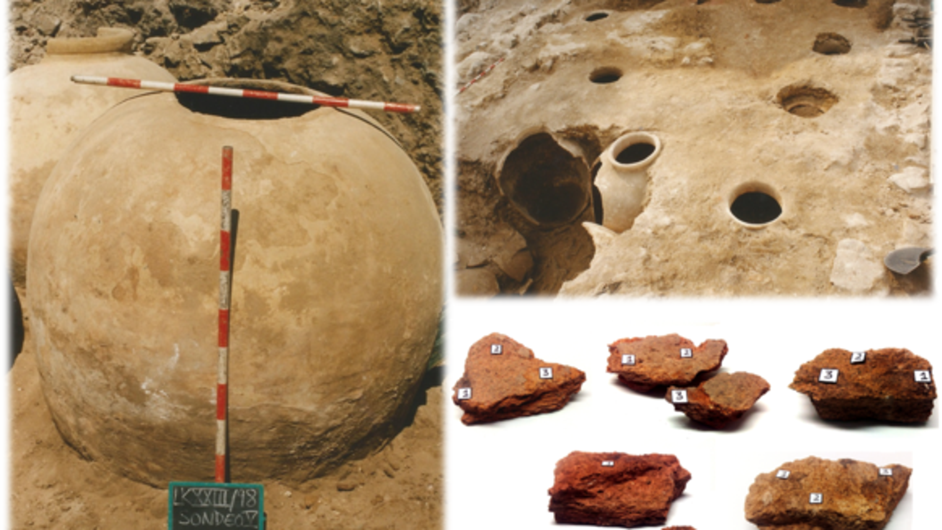 Muestras arqueológicas