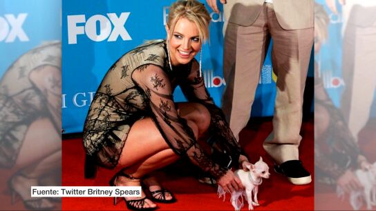 Britney Spears y su perro con un collar de Swarovski