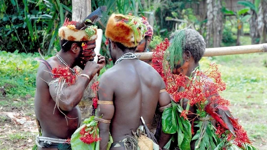 Miembros de una tribu indígena en Papúa Nueva Guinea Miembros de una tribu indígena en Papúa Nueva Guinea