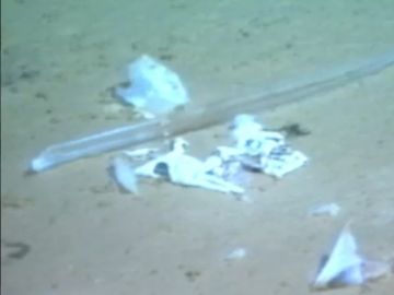 Bolsa de plástico encontrada en la fosa de las Marianas Bolsa de plástico encontrada en la fosa de las Marianas