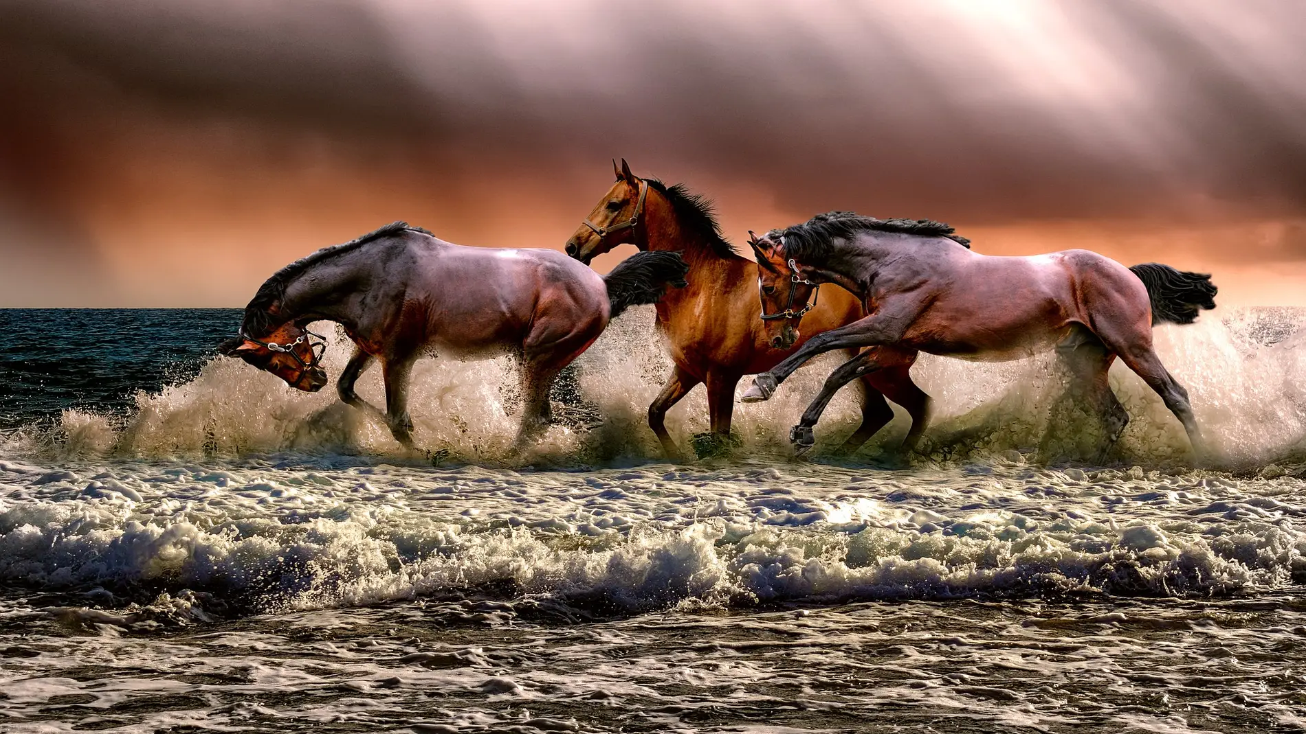 Un nuevo sistema mejora la calidad del esperma congelado de caballo