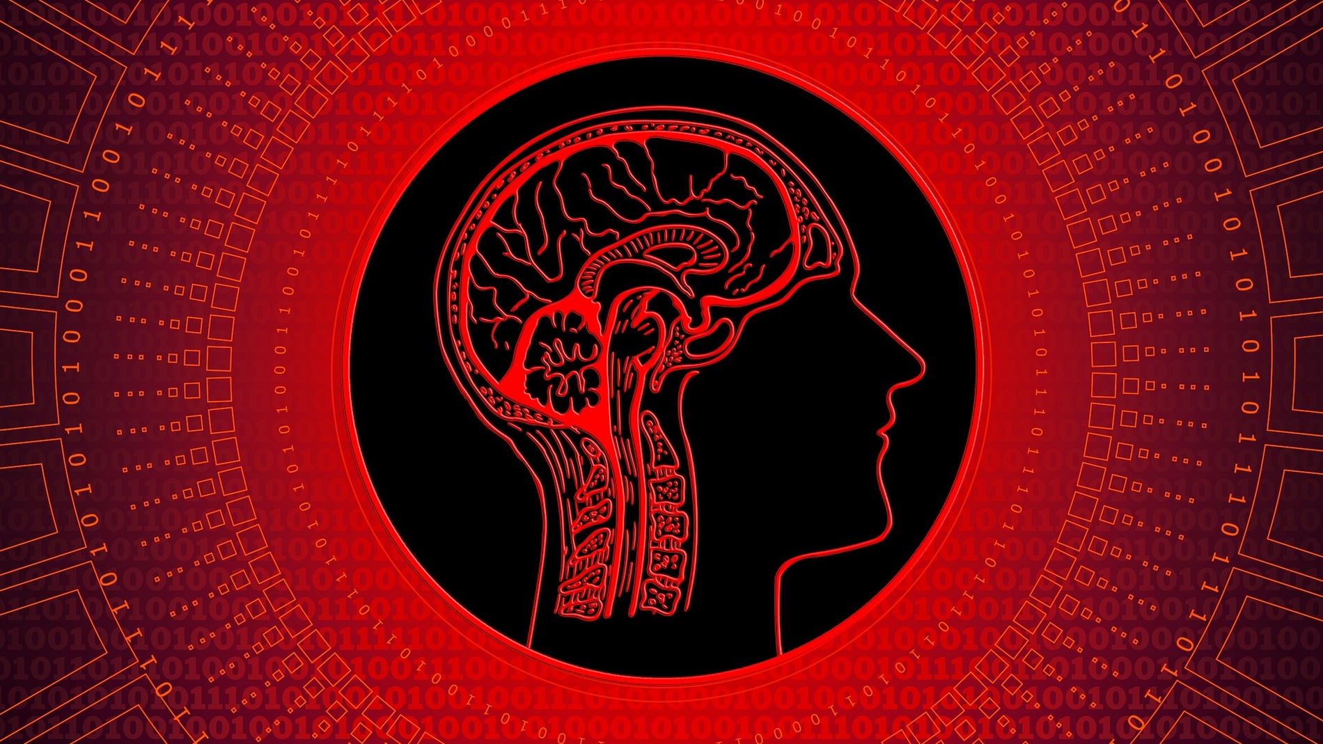 La ecologia ha determinado el gran desarrollo del cerebro humano