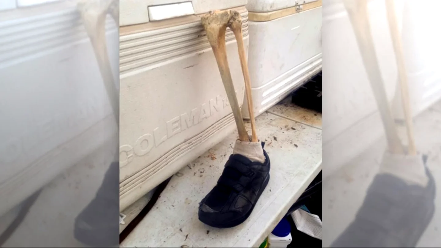 Resuelto el misterio de los pies humanos en zapatillas aparecidos en las costas de Canadá Resuelto el misterio de los pies humanos en zapatillas aparecidos en las costas de Canadá