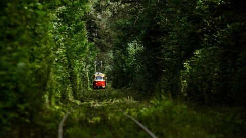 Tram