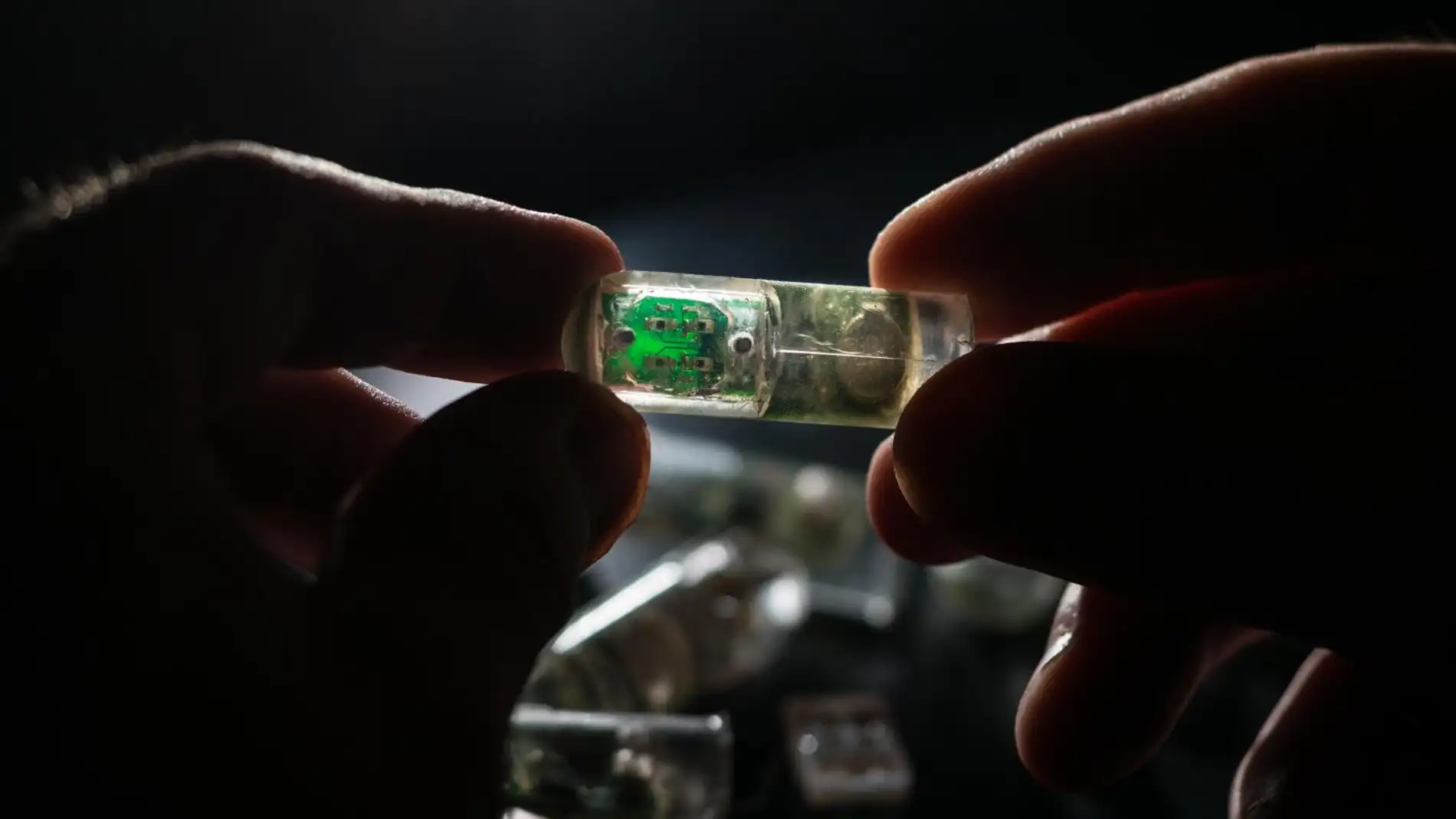 Un sensor que se podra tragar para detectar enfermedades digestivas