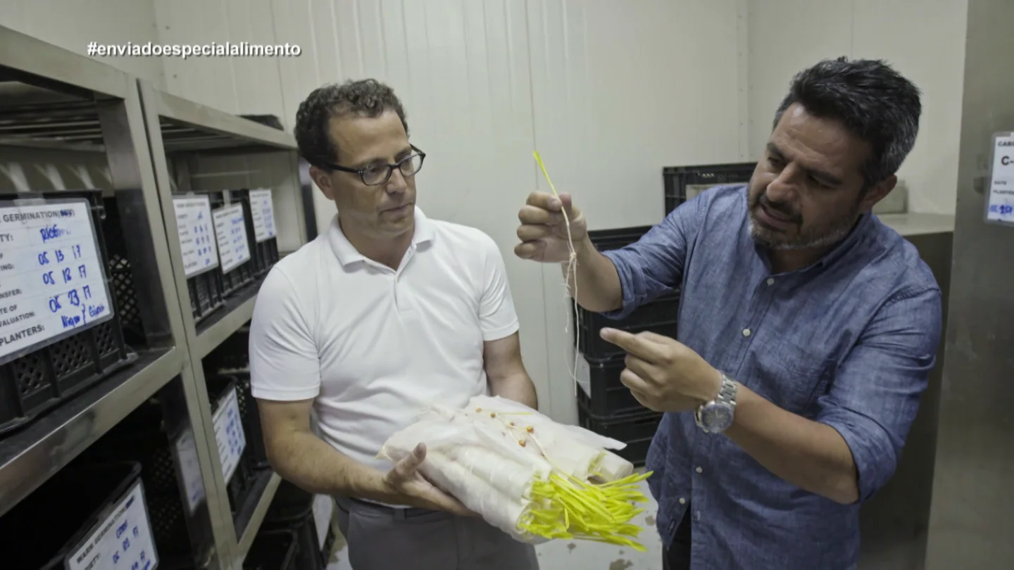 Jalis de la Serna en Enviado especial: la semilla que alimenta al mundo Jalis de la Serna en Enviado especial: la semilla que alimenta al mundo