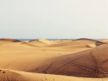Maspalomas Maspalomas