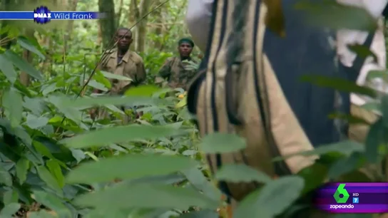 militar Frank militar Frank