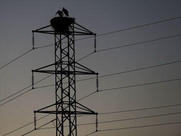 Imagen de un tendido eléctrico Imagen de un tendido eléctrico