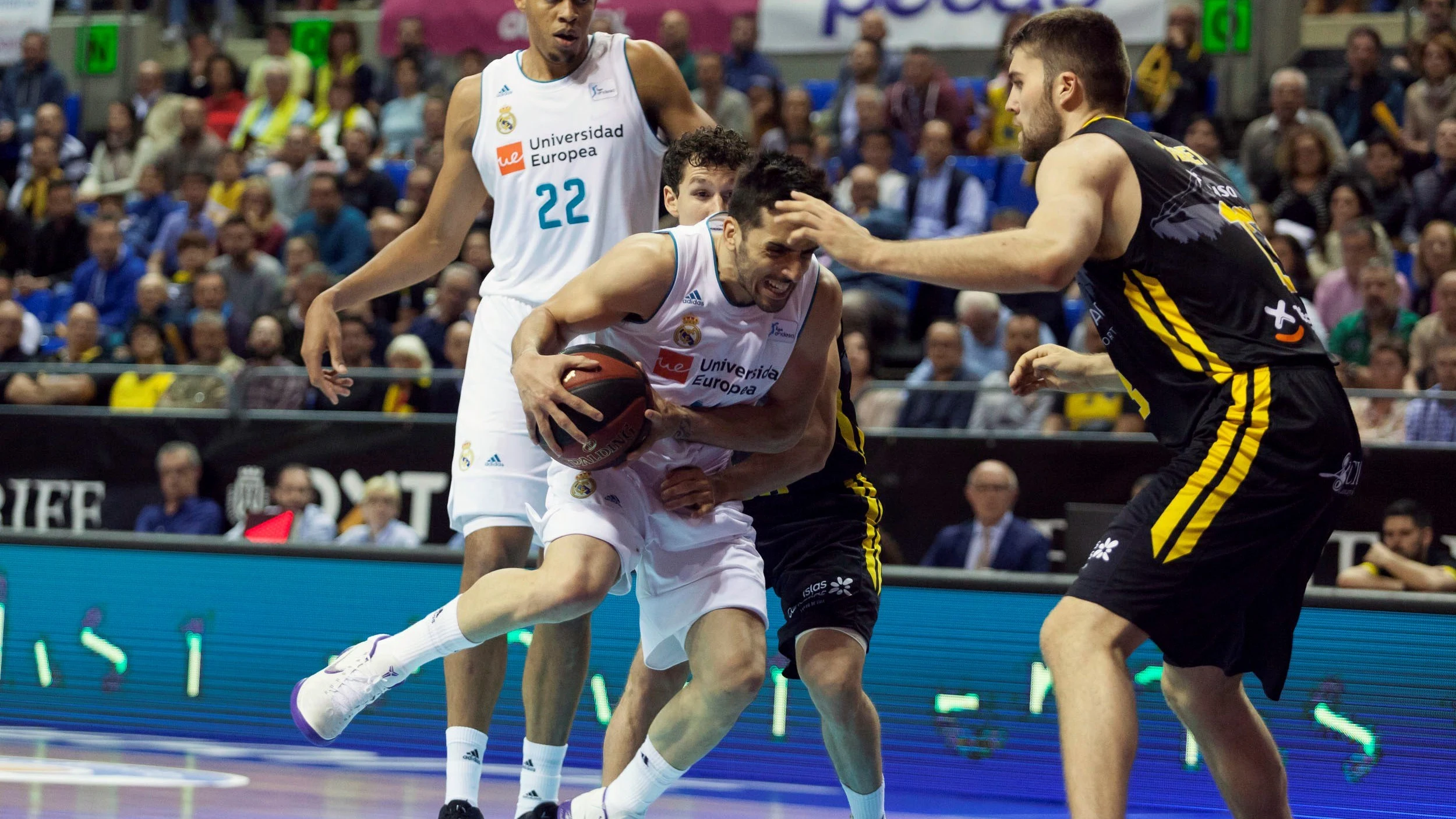 Campazzo intenta penetrar a canasta ante el Tenerife