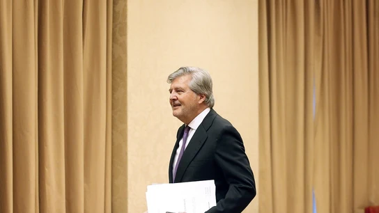 Íñigo Méndez de Vigo Íñigo Méndez de Vigo