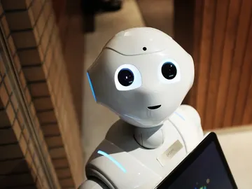 Robot Robot