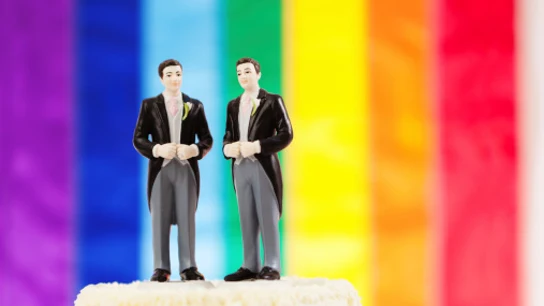 Tarta de boda para una pareja gay Tarta de boda para una pareja gay