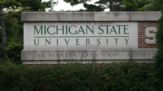 Universidad Estatal de Michigan (MSU) Universidad Estatal de Michigan (MSU)