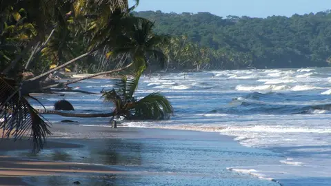 Trinidad y Tobago Trinidad y Tobago