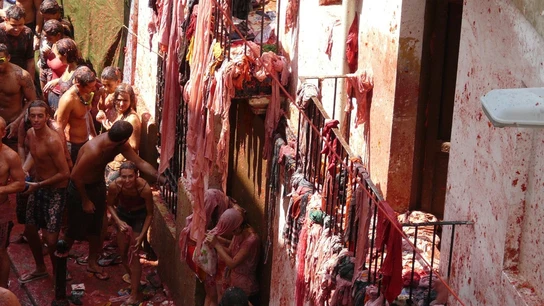 La Tomatina La Tomatina