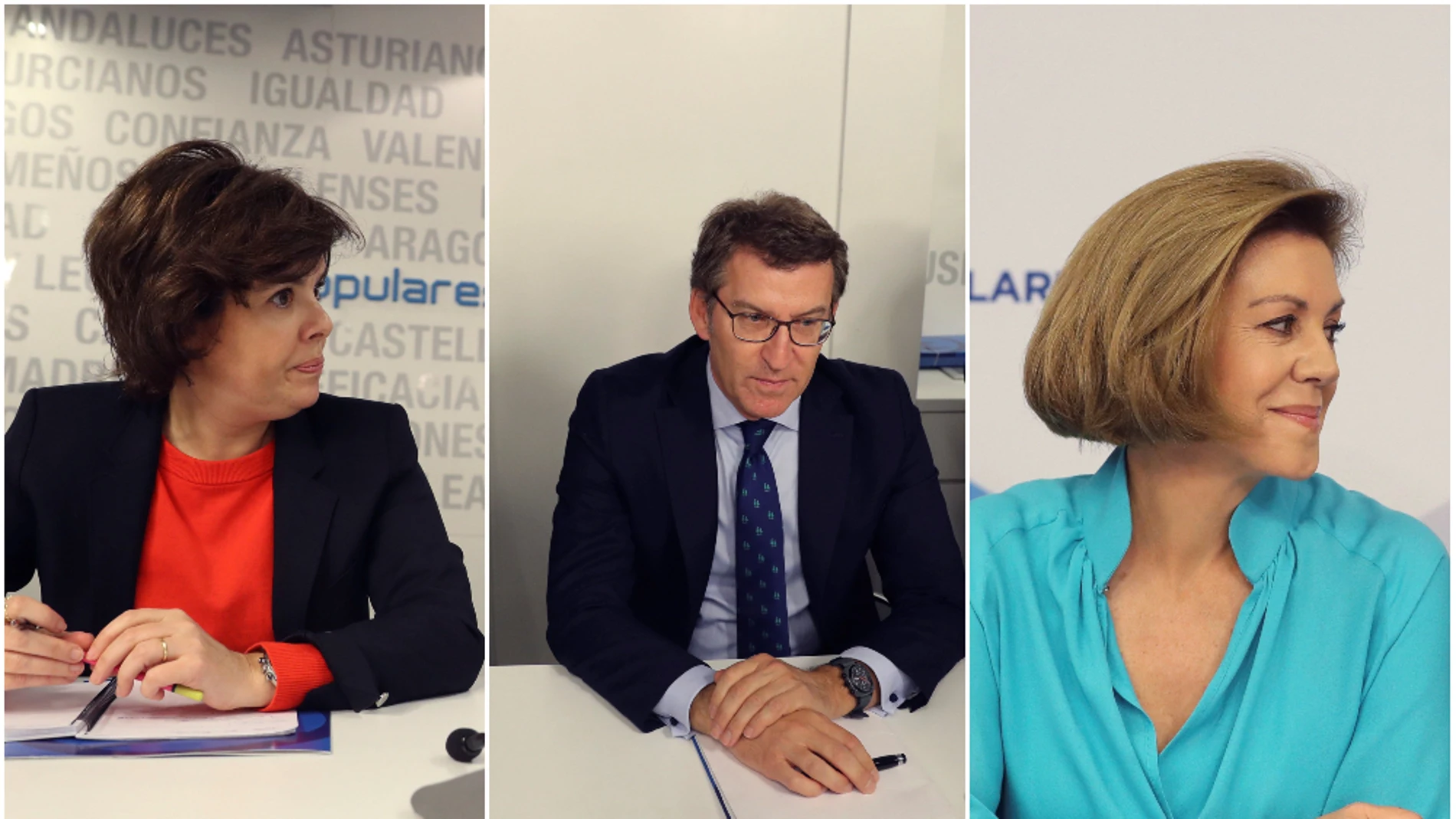 Posibles candidatos a sustituir a Rajoy al frente del PP