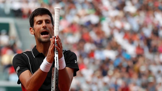 Djokovic se lamenta tras un punto ante Cecchinato Djokovic se lamenta tras un punto ante Cecchinato