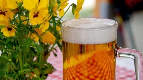 International Beer Festival
