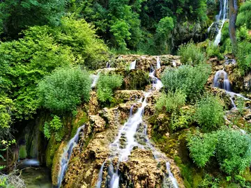 Orbaneja Orbaneja