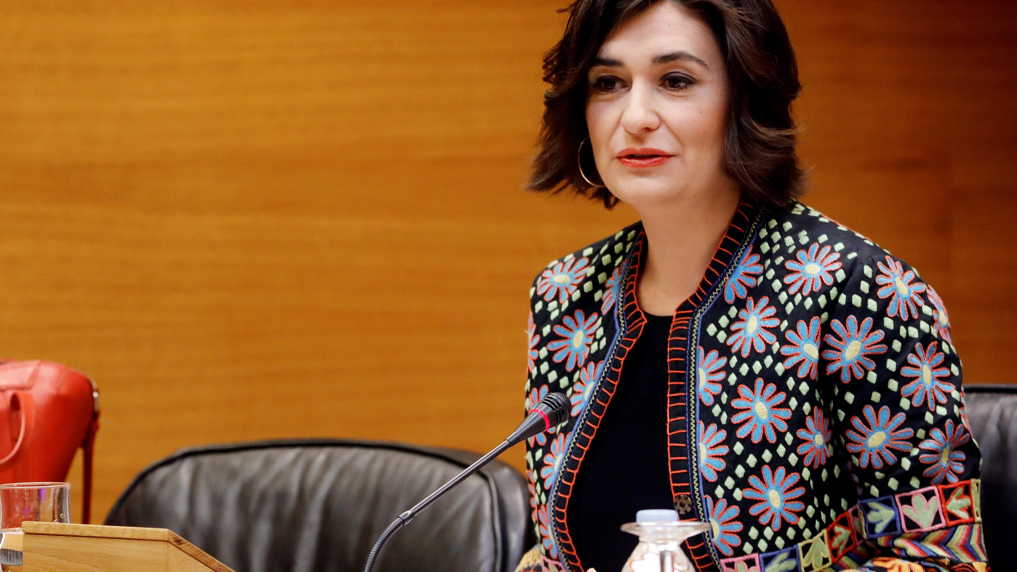 Carmen Montón, ministra de Sanidad