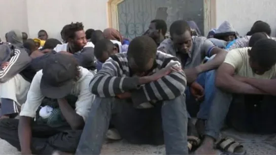 Migrantes  Migrantes