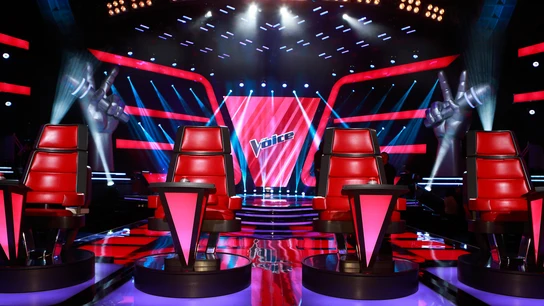 THE VOICE THE VOICE