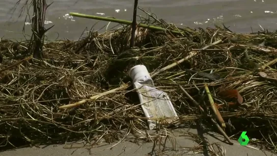 Más de 10.000 voluntarios limpian de basura varios puntos de Epaña Más de 10.000 voluntarios limpian de basura varios puntos de Epaña