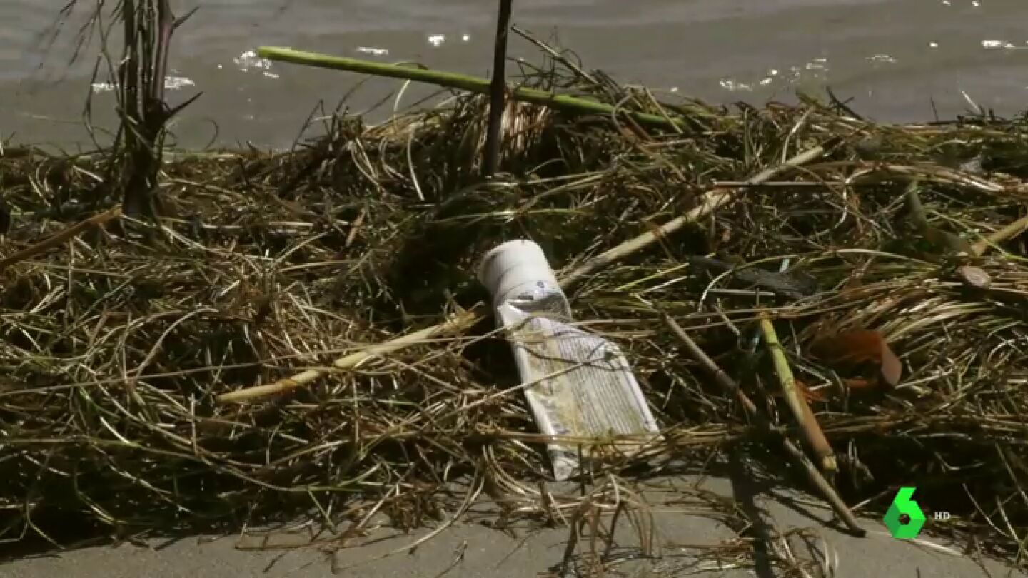 M&aacute;s de 10.000 voluntarios limpian de basura varios puntos de Epa&ntilde;a