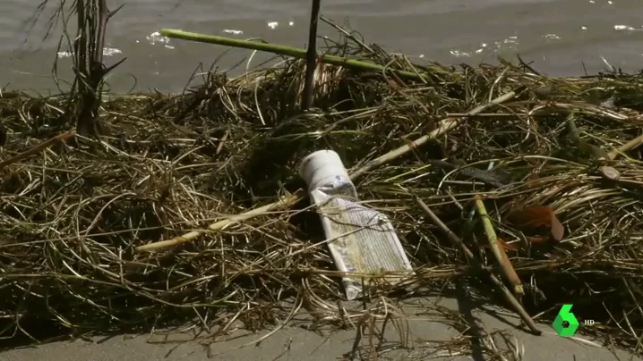 Más de 10.000 voluntarios limpian de basura varios puntos de Epaña