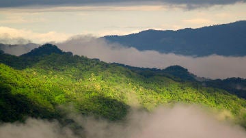 Reserva Durika