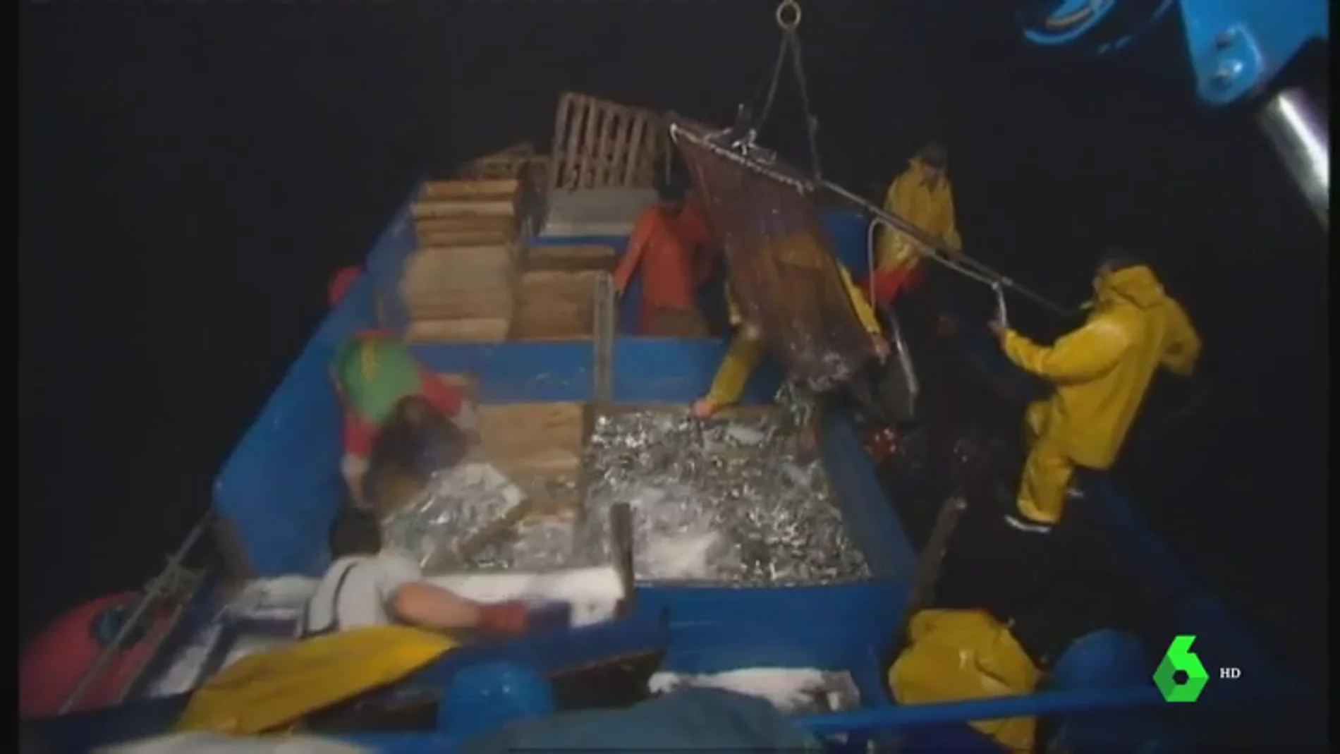 Los pescadores inician la campaña de captura de la sardina 