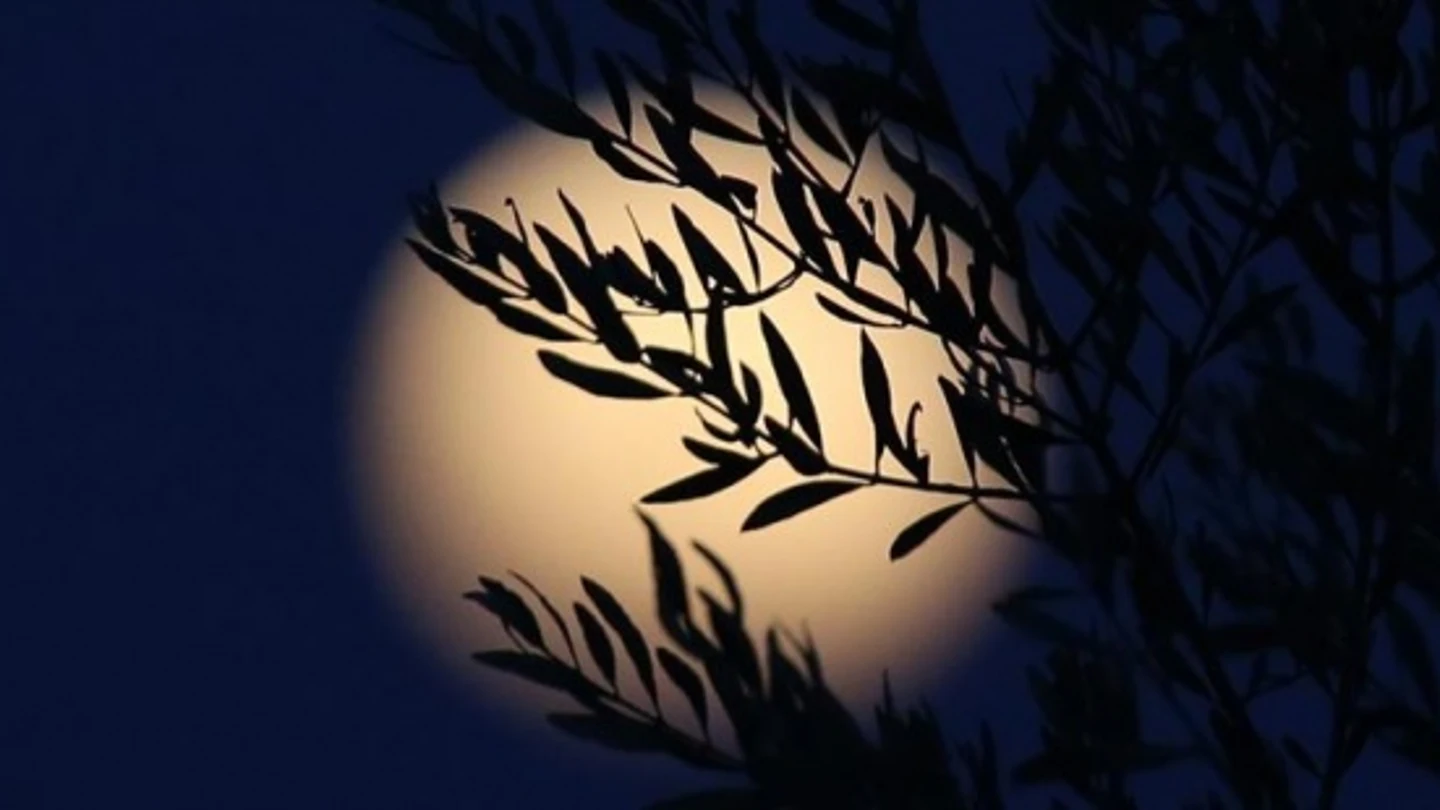 El verano brindará un eclipse total de Luna visible desde España El verano brindará un eclipse total de Luna visible desde España
