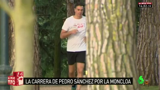 Las imágenes menos habituales de Pedro Sánchez: así arranca su semana antes de comenzar su rutina de trabajo Las imágenes menos habituales de Pedro Sánchez: así arranca su semana antes de comenzar su rutina de trabajo