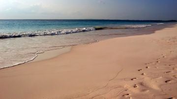 Playas rosas