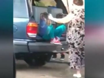 Estupor en las redes por una abuela que encierra a sus nietos en un transportín para perros dentro de su coche